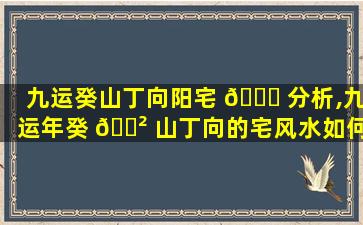 九运癸山丁向阳宅 🐅 分析,九运年癸 🌲 山丁向的宅风水如何